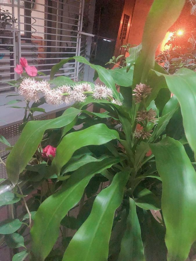 Li Homestay 134 Tran Binh, My Dinh, Nam Tu Liem, Ha Noi Hanoi Exterior foto